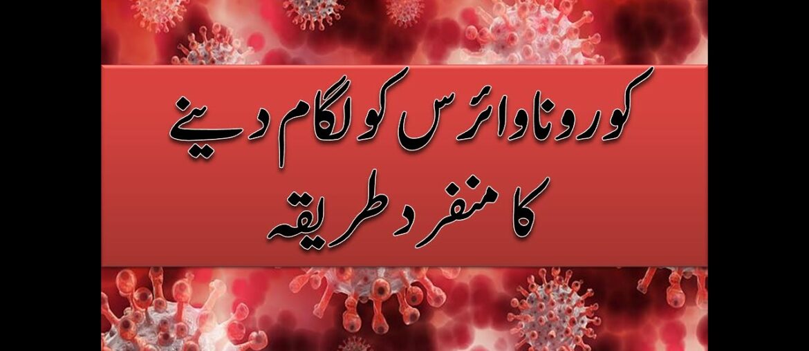 5 ways to boost your immune system to fight with corona virus and others serious illness in 2020