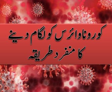 5 ways to boost your immune system to fight with corona virus and others serious illness in 2020