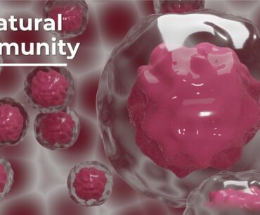 Herd Immunity Explained: Can we achieve it with COVID-19?