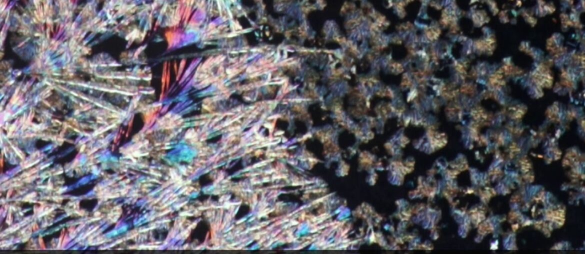 Beautiful Chemistry: Callus Remover and Ascorbic Acid growth