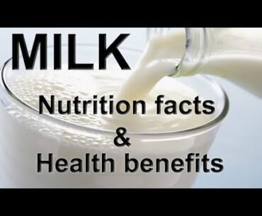 Milk Benefits nutrition Protein Health benefits hindi - ufoodie | benefits of drinking milk at night