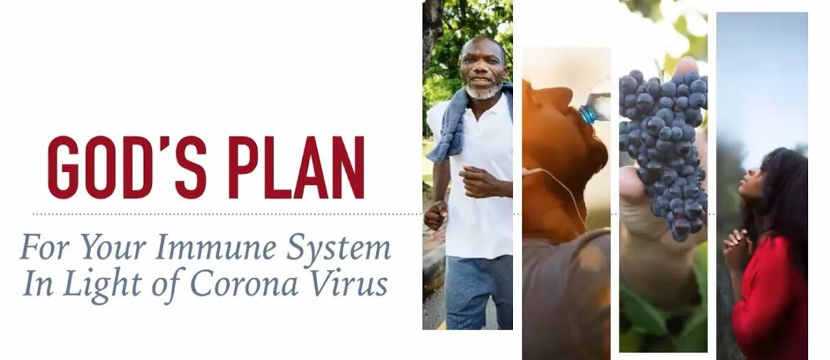 God's Plan For Your Immune System In Light of Corona Virus