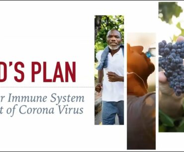 God's Plan For Your Immune System In Light of Corona Virus