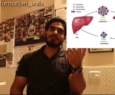 Types of Fatty Material In The Body | [Hindi]