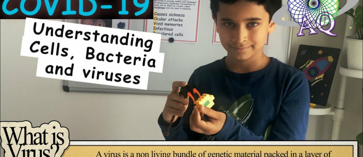 COVID-19: Part 1 : Understanding Cells, Bacteria and Viruses