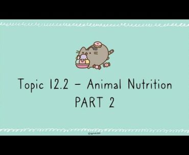 Topic 12  - Vitamins A and B & Deficiency diseases