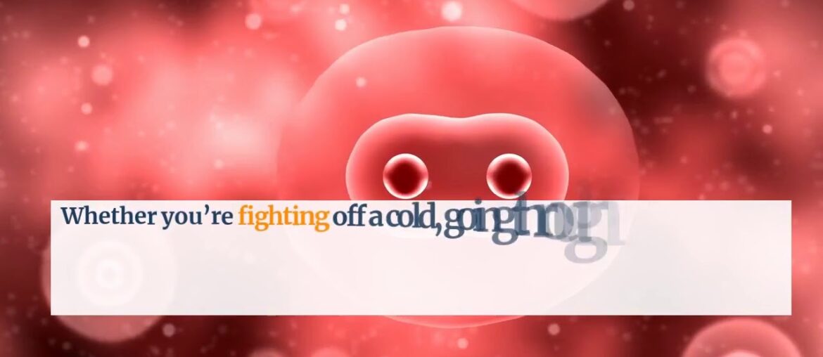 Immune Defence  - does vitamin c boost immune system