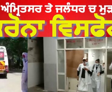 Covid 19 again attack on amritsar and Jalandhar| Found more positive patients|Punjab News|India News