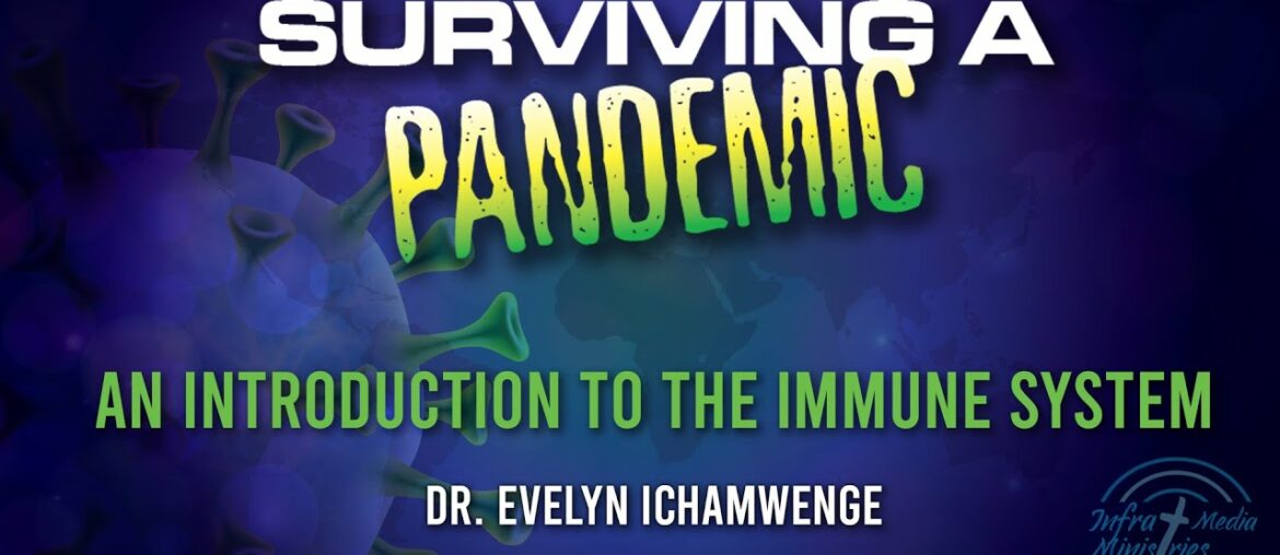 An Introduction To The Immune System - Dr. Evelyn Ichamwenge