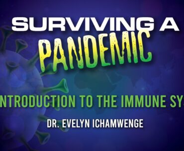 An Introduction To The Immune System - Dr. Evelyn Ichamwenge