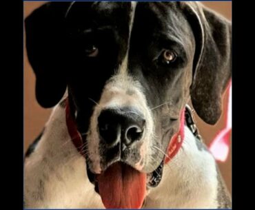 What's in my Supplement and Why does it work so well