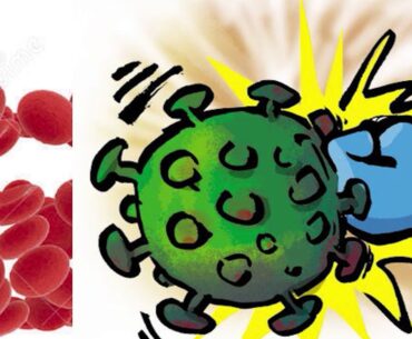 Immune System | Top five factors to boost your Immunity