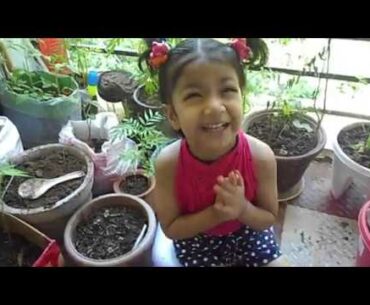 Indian Superfood (Immunity booster )