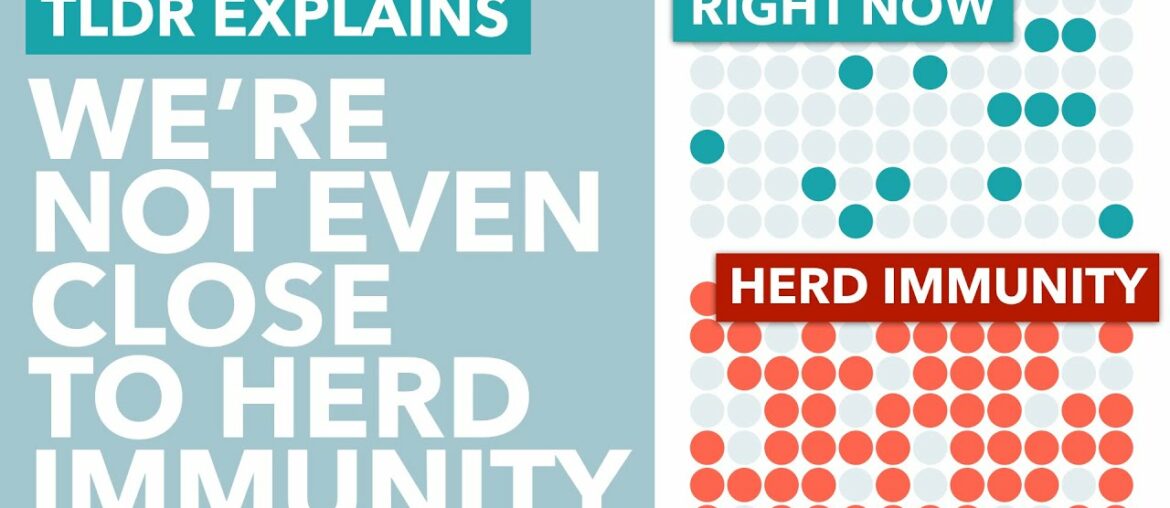 Why We're Not Achieving Coronavirus Herd Immunity & How it Impacts a 2nd Wave - TLDR News