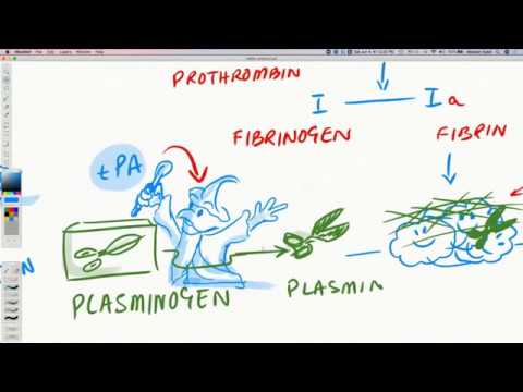 ICU Management - MATH++ Protocol Part 3
