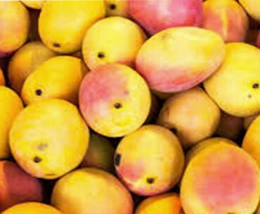 10 best foods for your immune system in Urdu