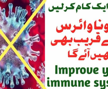 Improve your immune system and prevent yourself from corona virus