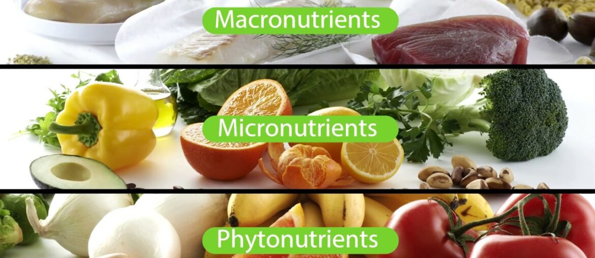 What Supplements Should I Take? The Nutrilite Foundational Four | Amway