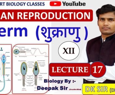 Human Reproduction Lecture - 17 |12th/NEET/AIIMS/DIPLOMA| Female Reproductive System |DK SIR BIOLOGY