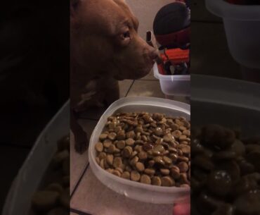 She needs vitamins before having her baby’s