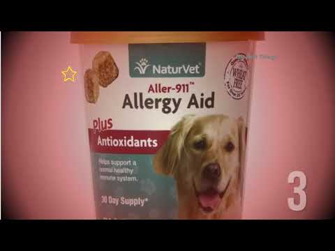 5 Best Allergies Relief Supplements For Dogs To Own in 2020