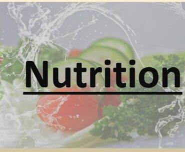 Introduction to Nutrition For All Competitive Exams | Protein, Vitamins, Carbohydrates, Fat in Hindi