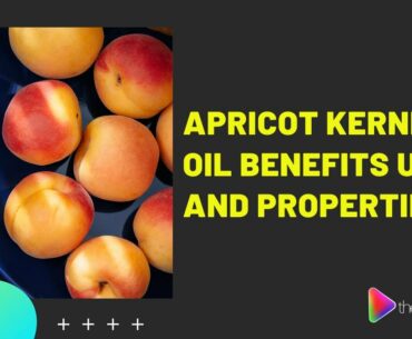 Apricot Kernel Oil Benefits, Uses, and Properties