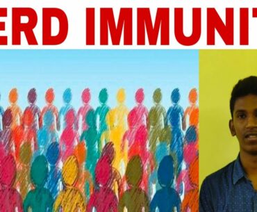 Coronavirus herd immunity explained in tamil | Gokul Times | Tamil |