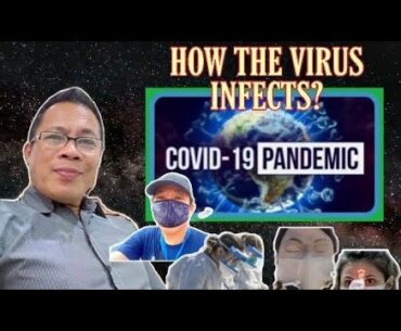 COVID-19: WHAT CORONA VIRUS DOES TO HUMAN BODY