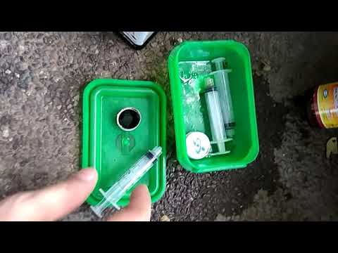 Giving vitamins to my fur babies.