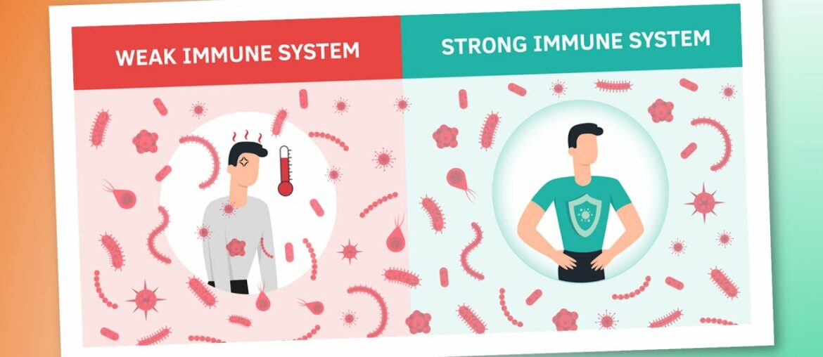 Weak Immune System Symptoms: 5 Signs You Have A Weak Immune System | Foods To Increase Immunity