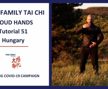 Fighting COVID-19 Campaign/ Cloud Hands Tutorial 51 / Hungary