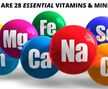What's the BEST WAY to Absorb Nutrients (Vitamins & Minerals)?