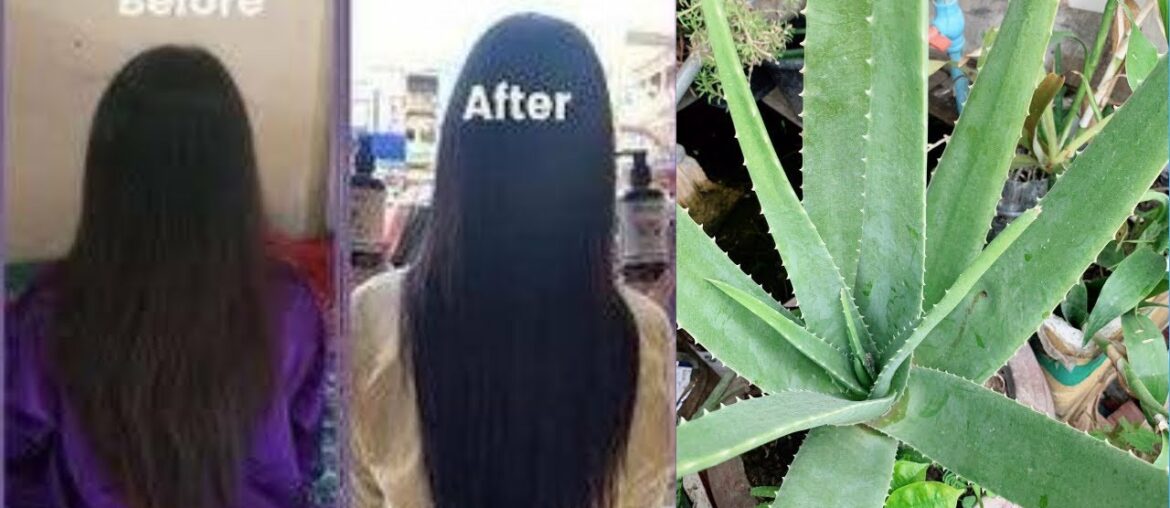 Aloevera Gel + Vitamin E Oil Hair Growth to Long Hair - aloe vera and vitamin e for hair growth