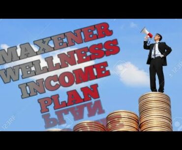 BUSINESS PLAN | MAXENER WELLNESS