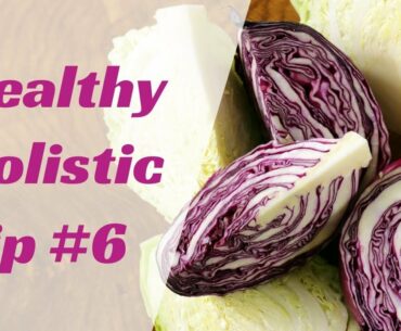 Healthy Holistic Tip #6: Cabbage
