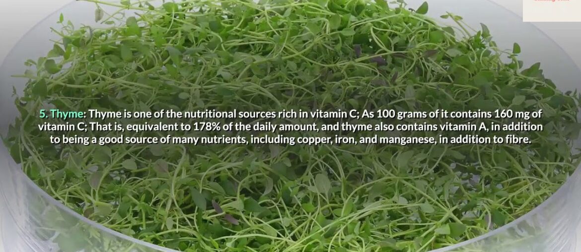 The Best 12 Food Rich in Vitamin C