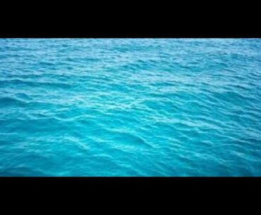 Covid-19 talk and immune system