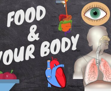 KNOW YOUR BODY AND FOOD I HEALTH DIET I Platinumstylezone