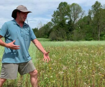 Gut Health Strategies for a Stronger Immune System, Better Digestion, and more...