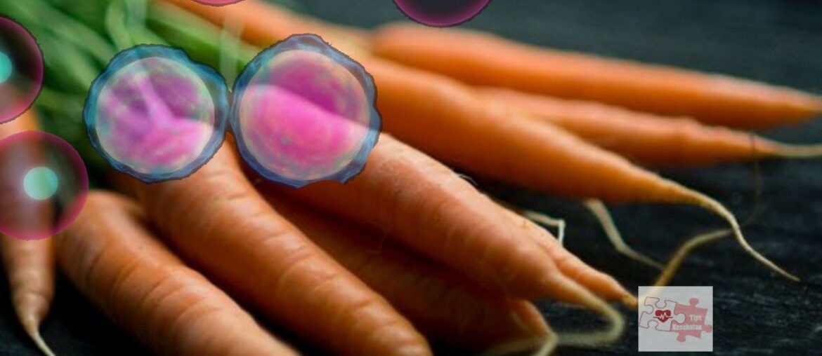 TANGKAL V!R*S DAN BAKTERI, TINGKATKAN IMUN TUBUH DENGAN VITAMIN A