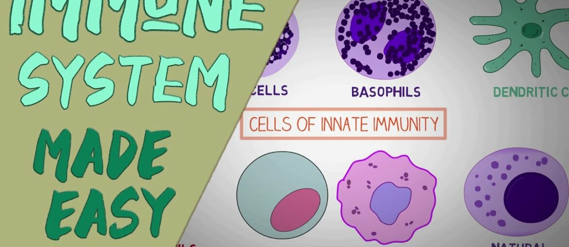 IMMUNE SYSTEM MADE EASY- IMMUNOLOGY INNATE AND ADAPTIVE IMMUNITY SIMPLE ANIMATION