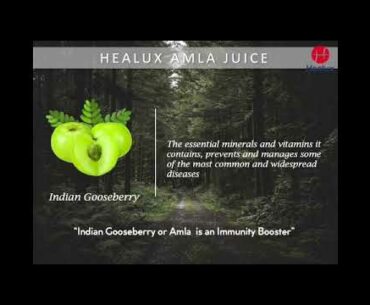 Amla Juice -Vitamin C Boost your immunity