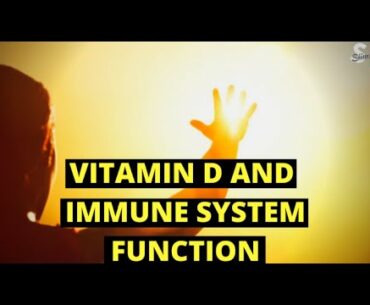Vitamin D and Immune System Function