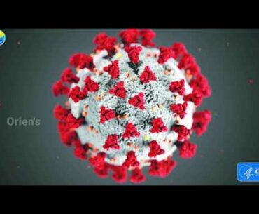 Covid19 Documentary | Products to improve your immunity power.