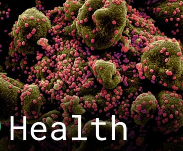 Doctors Study the Lingering Symptoms of Covid-19