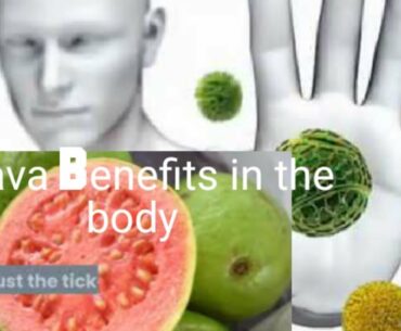 GUAVA BENEFITS (vitamin C)