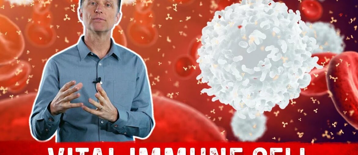 The Most Important White Blood Cell (WBC)