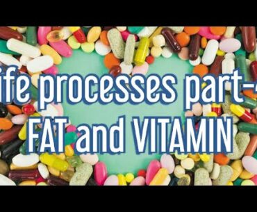 Class 10 chapter 6, life processes part-4 Nutrition fat and vitamin