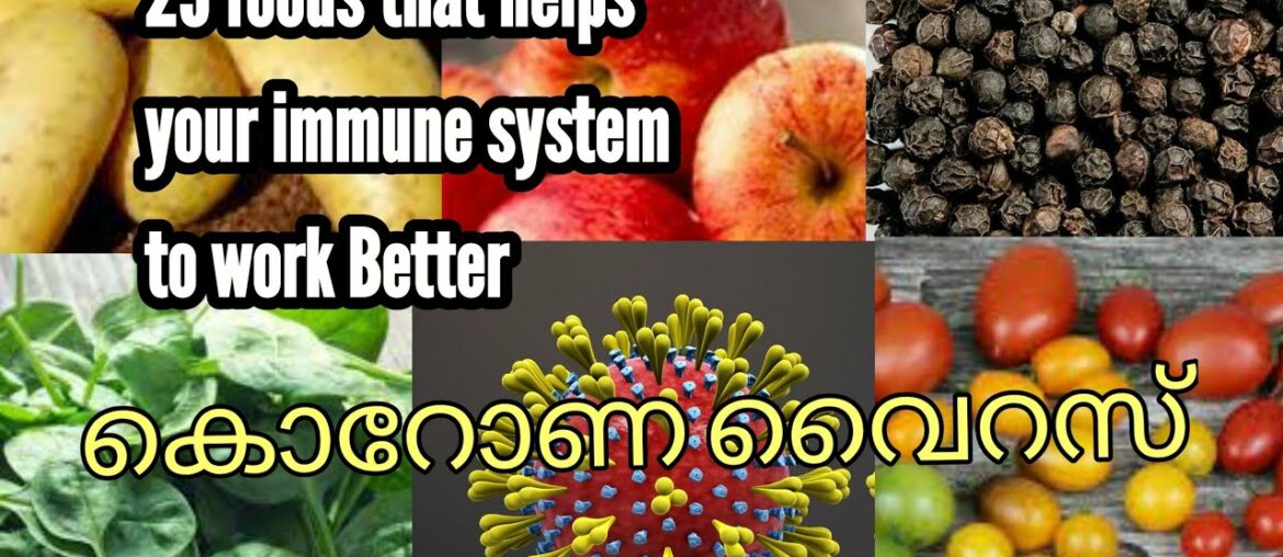 25 foods to Boost your immune system |Immunity boosting foods malayalam| All in 1 Adukkala